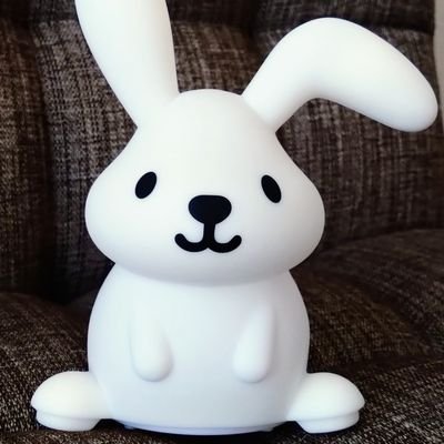 麒麟とラヴィットが好きな人間です。