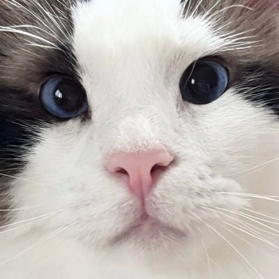 しおこさんのプロフィール画像