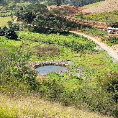 Paulo André Issa. Médico Psiquiatra Infantil e Adulto. Saúde Mental. Amante da natureza, música, vida no interior. Fã do Palavra Cantada, Cocoricó e Globo Rural