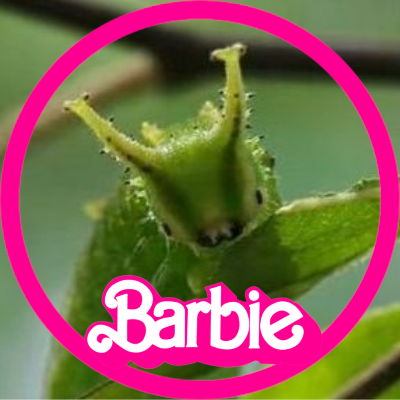 weedsoldier_'s profile picture. @ringabellfdell