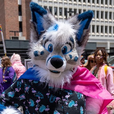 Silvermuzzle/Multi-suiter: MC-Roofur-PrimalRoots-OFA-Lacy-Lobitoworks-FurItUp/Demi/Bi 💙💜❤️/He-Him/Photografur/Header @KhamisuArt / Icon @Aussywoo /#BLM!