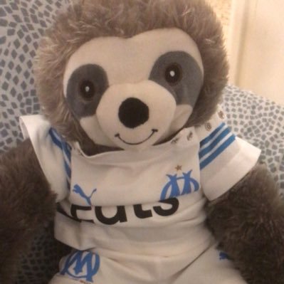 Dans tous les stades on est allé c’est nous l’armée des marseillais #TeamOm