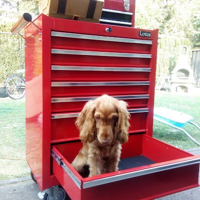 SweatyG64166322's profile picture. 