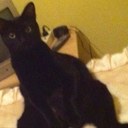 Carlos Arencibia - @carencibi - Twitter