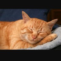 enzekjay2023 (@enzekjay2023) 's Twitter Profile
