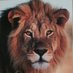 CCCA PRIDE (@cccapride) Twitter profile photo CCCA PRIDE (@cccapride) Twitter profile photo