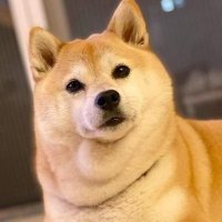 Chucho Amarillo (@re_basado) 's Twitter Profile Photo Chucho Amarillo (@re_basado) 's Twitter Profile Photo