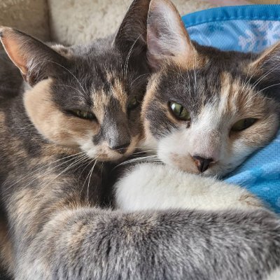 KUROKURO1418's profile picture. 