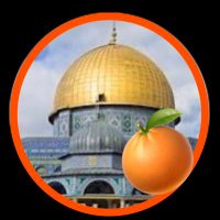 زكر يا M. (@m60440185m) 's Twitter Profile