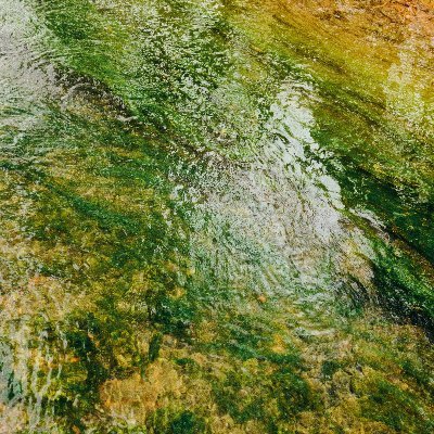 KRE_SET's profile picture. 今は台湾ドラマ、タイドラに嵌っている20代はるか↑、RPS理解です。お金配りや副業関連のフォローはお断りいたします。ビジネス垢はフォローしている垢以外からのフォローはブロック＆報告します