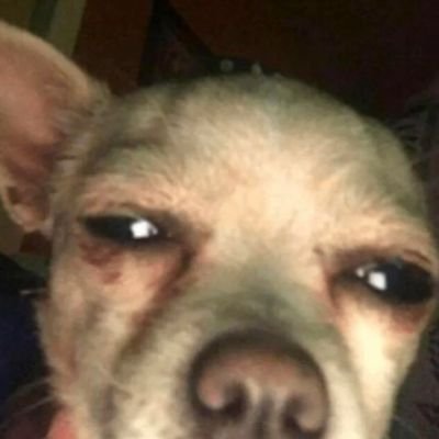 smokinwskrillex's profile picture. i'm 26