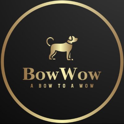 BowWow is a social-media network to give a Bow to the Wow factor of dogs.