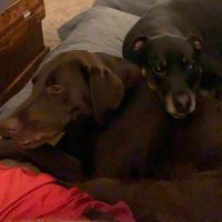 Lifenthusiast (@lifenthusiast1) 's Twitter Profile