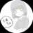 TirKing7's profile image
