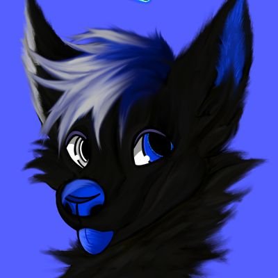 just a black white and blue wolf :3