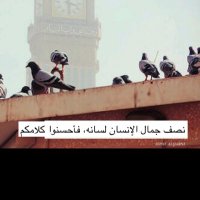 hamood (@memssl) 's Twitter Profile