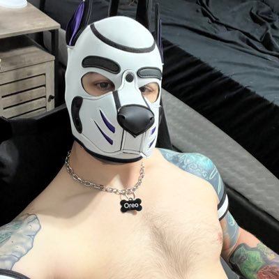 18+🔞. He/Him. Gaymer pup, anime nerd, kink enthusiast and good boy just looking to have fun and show off! 🐶 Engaged to @pupmegapixel /poly 💍