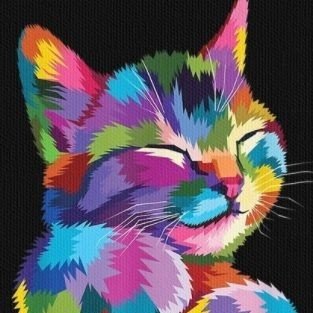 _luckykcwins's profile picture. 