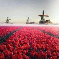 Hello (@harmon1962889) 's Twitter Profile