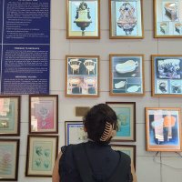 Ruchi Das🌈 (@rdx1237) 's Twitter Profile