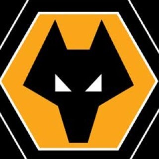 dhortz1's profile picture. 