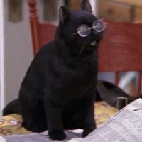 pachiponcev (@pachiponcev) 's Twitter Profile