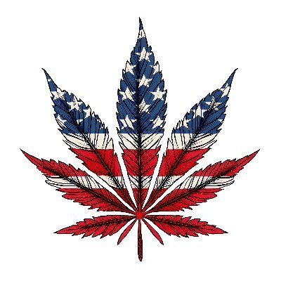 Embrace the vibrant fusion of stoner and psychedelic culture with DAZE Inc. Elevate your style with our unique cannabis-inspired apparel #DAZEInc #StonerFashion