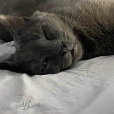 JosEmilioRodrg4's profile picture. @Halo                                  Please don't let Halo Infinite die; it still has a chance with the latest update!
