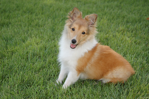 kimberly_ann1's profile picture. 