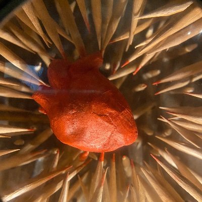 j_antonioAvila's profile picture. 