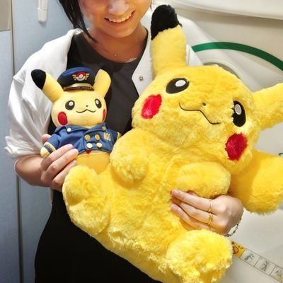 ポケモンと飛行機を追っかけて、1人旅したり、家族のサポート旅したり。