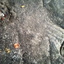 Karlie Hustle - @KarlieHustle - Twitter