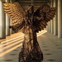 紫穂 (@shiho22222222) 's Twitter Profile