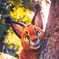 StaRz(@StaRzFur) 's Twitter Profile Photo