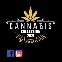 FlyVesuvian (@flyvesuvian) 's Twitter Profile