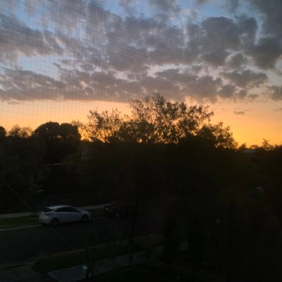 neothodral's profile picture. All platonic:3 20 :3 Love @Boobateaz so much 🥺💕 Header is my beautiful mommy @lana_pur I love them so much :333 ADHD :3 @sweetlavndrpup ‘s fav:3 DMs open :3