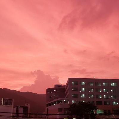 d7E64Nif9scymu2's profile picture. 