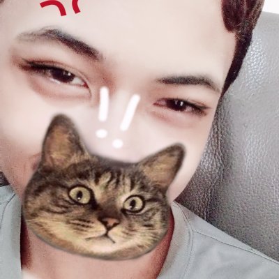 theo_meowse's profile picture. 🐾🐱