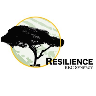 RESILIENCE is a ERC Synergy project funded by the Europen Union under the GA nr 101071417.