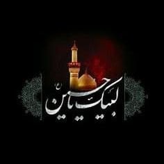 MohsinA95357213's profile picture. 786