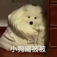 anotherJEEEEE's profile picture. 盗图者挡灾 https://t.co/BMNgDDU4Hs
