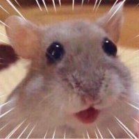 ํ์ฎ์ฎ (@gg___0_0) 's Twitter Profile Photo ํ์ฎ์ฎ (@gg___0_0) 's Twitter Profile Photo