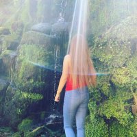 Alma (@rex_alma31) 's Twitter Profile