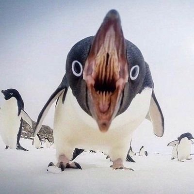 KSHOOOO_0's profile picture. 