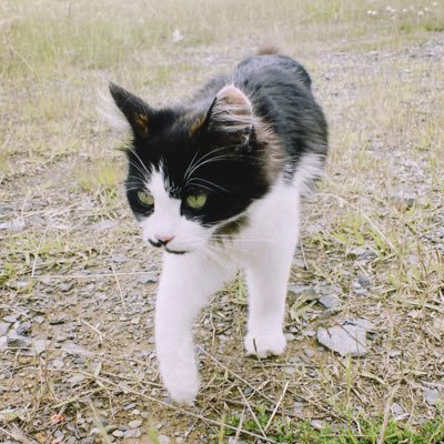 noeru0131's profile picture. 仙台