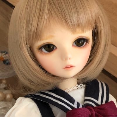 新さんのプロフィール画像