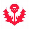 b_sulliau's profile picture. entre Cannes et Nancy | l’as Nancy Lorraine est mon plus grand amour