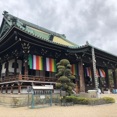 融通念佛宗 総本山大念佛寺公式アカウントです。大念佛寺の様々な情報を発信していきます。※本アカウントでのお問い合わせへの返信は出来かねます。お問い合わせはお電話、もしくはホームページのお問い合わせフォームへお願いいたします。