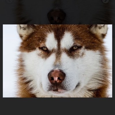 yuusan0586's profile picture. 