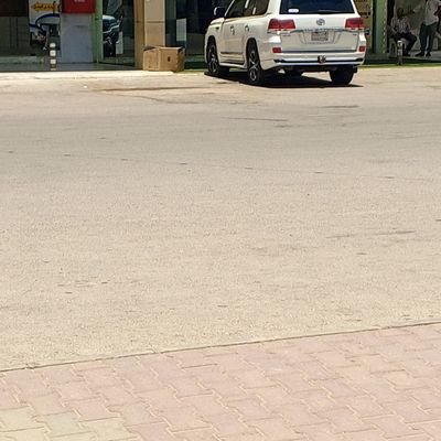 SainuSainu31925's profile picture. 